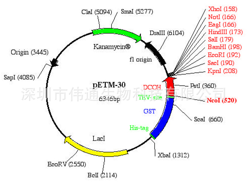 petm30图谱 序列 价格 抗性 大小详细信息